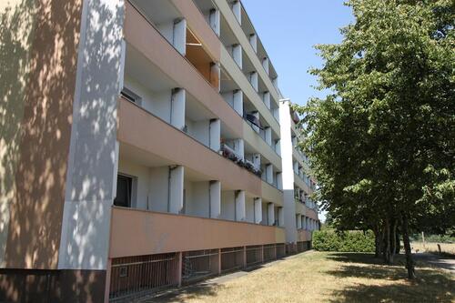 Foto - helle 1-Raumwohnung mit Blick ins Grüne