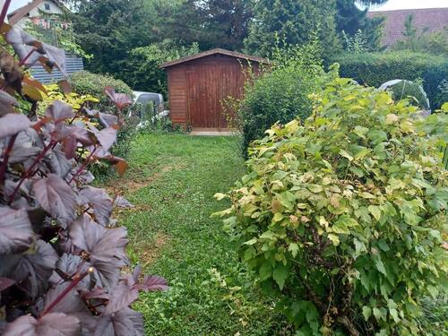 Foto - Etagenwohnung in Oberteuringen