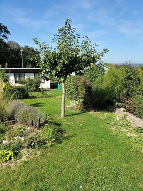 Foto - Garten in der Anlage „Am Kalten Hügel“