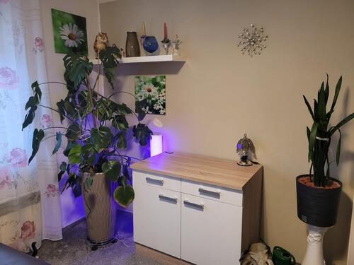 Foto - 3 Zimmer Erdgeschoßwohnung in Hirschaid