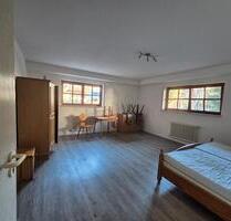 1-Zimmer-Souterrain-Appartement im Glottertal