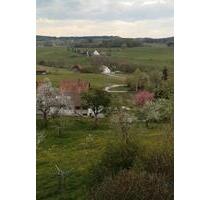 Barrierefreie 1,5 Zimmer Wohung inkl. Pflegedienst in Wolfegg