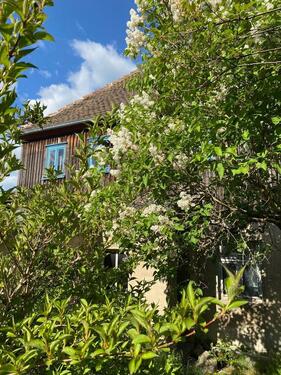 Foto - 6 Zimmer Einfamilienhaus zum Kaufen in Großröhrsdorf