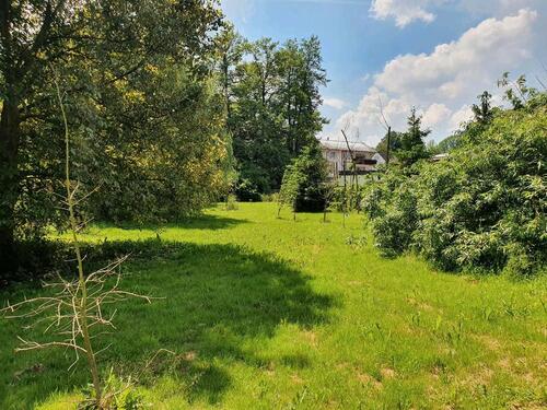 Foto - Mehrfamilienhaus, Wohnhaus in Bad König zum Kaufen