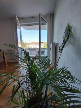 Foto - Exklusive 2-Zimmer-Wohnung mit Balkon und Einbauküche in Regensbu