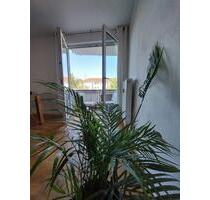 Exklusive 2-Zimmer-Wohnung mit Balkon und Einbauküche in Regensbu - Regensburg Ganghofersiedlung