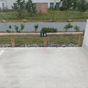 Foto - Freier Parkplatz in Prora Binz - 55,00 EUR Miete,