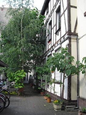 Foto - 3 Zimmer Etagenwohnung zur Miete in Koblenz