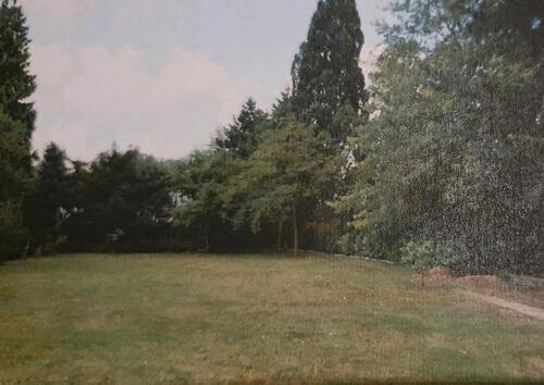 Foto - 4 Zimmer Einfamilienhaus zum Kaufen in Seevetal