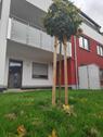 Foto - Etagenwohnung zur Miete in Fernwald