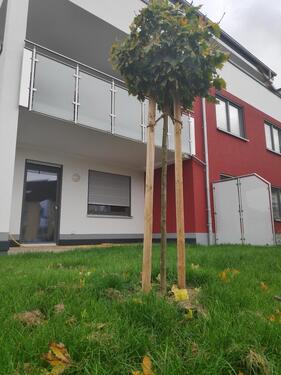 Foto - Etagenwohnung zur Miete in Fernwald