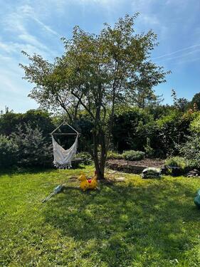 Foto - Grundstück in Dresden