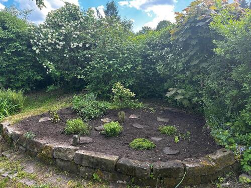 Foto - Grundstück in Dresden zur Miete