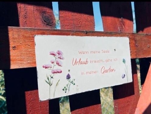 Foto - Grundst&uuml;ck in Belgern-Schildau zur Miete