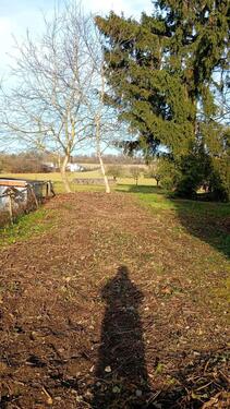 Foto - Garten, Baugrundstück in Neuwied-Gladbach zu verpachten