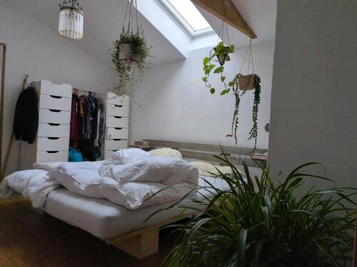 Foto - 2 Zimmer Etagenwohnung in Preetz