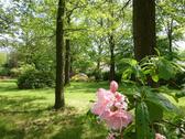 Foto - Einfamilienhaus in Südheide zum Kaufen