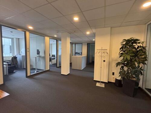 Foto - andere in Hamburg