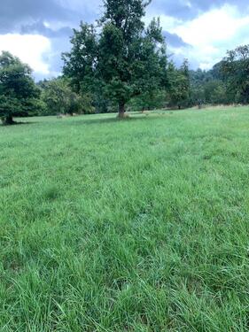 Foto - Grundst&uuml;ck zur Miete in Dettingen unter Teck