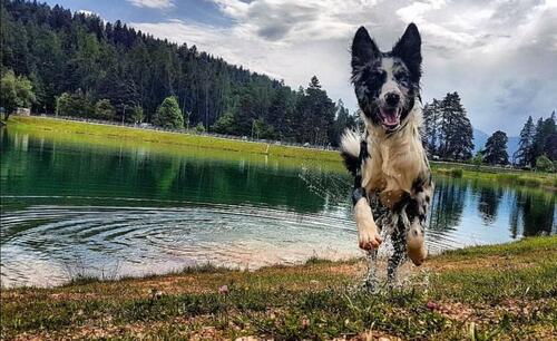 Foto - andere in Hamburg zur Miete