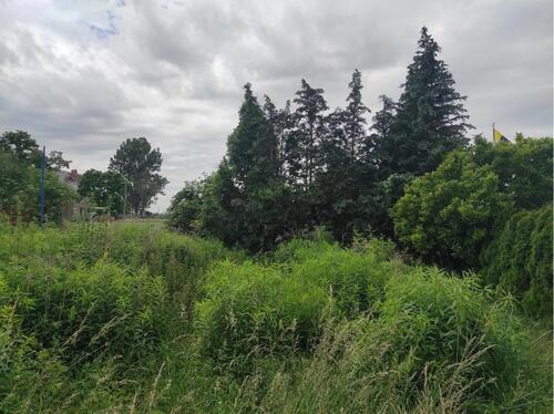 Foto - 3 Zimmer Erdgeschoßwohnung in Leuna