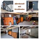 Foto - Pferdestall ab sofort zu vermieten