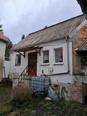 Foto - Einfamilienhaus in Magdeburg zum Kaufen