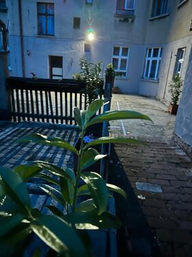 Foto - zu vermieten - 50,00&nbsp;EUR Miete,