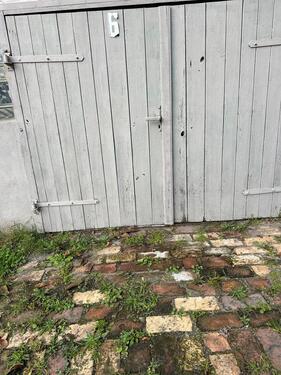 Foto - andere in Dessau-Roßlau zur Miete