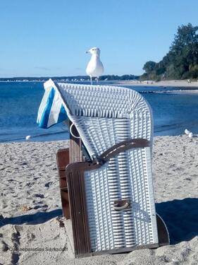 Foto - Ferienwohnung SierksdorfOstsee Strand Hanspark bis 4 Personen