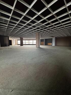 Foto - andere zum Kaufen in Giengen an der Brenz