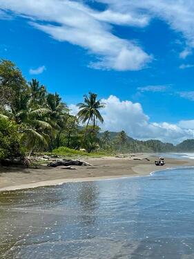 Foto - COSTA Rica Appartment 400 m vom Strand mit Gartennutzung langfristig zu verm. ☎️ 0