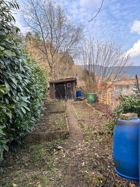 Foto - Hanggrundstück 1.200 m² mit Hüttchen zu vermieten in Bad-Wildbad
