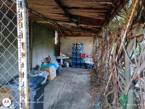 Foto - Einfamilienhaus in Belgern-Schildau zum Kaufen