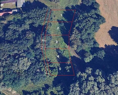 Foto - 5x Gartenparzellen zu verpachten