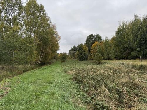 Foto - Grundstück zur Miete in Mühlenbecker Land