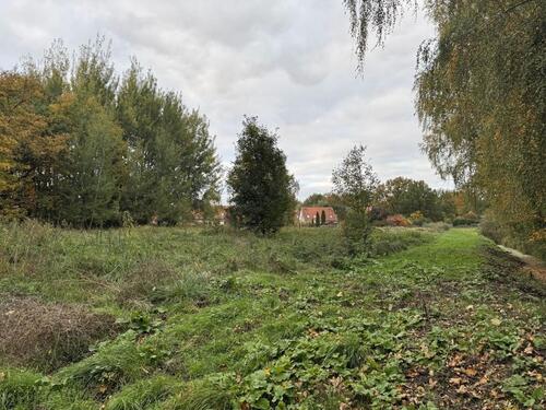 Foto - Grundstück in Mühlenbecker Land zur Miete