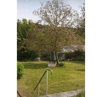 Bauernhaus mit großem Grundstück Grafschaft - Bad Neuenahr-Ahrweiler