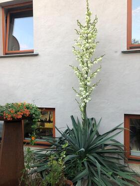 Foto - Einfamilienhaus in Laage