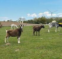 Bauernhofurlaub an der Ostsee – Familienfreundliches Ferienhaus - Lensahn