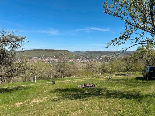 Foto - Streuobstwiese - 100,00&nbsp;EUR Kaltmiete, ca.&nbsp; 0,00&nbsp;m&sup2;