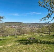 Streuobstwiese - 100,00&nbsp;EUR Kaltmiete, ca.&nbsp; 0,00&nbsp;m&sup2; in Steinheim an der Murr (PLZ: 71711)