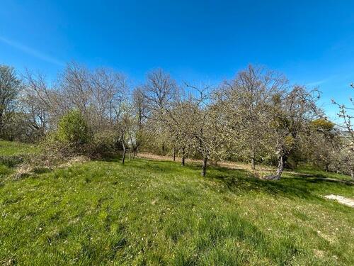 Foto - Grundst&uuml;ck zur Miete in Steinheim an der Murr
