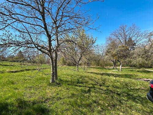 Foto - Grundst&uuml;ck in Steinheim an der Murr zur Miete