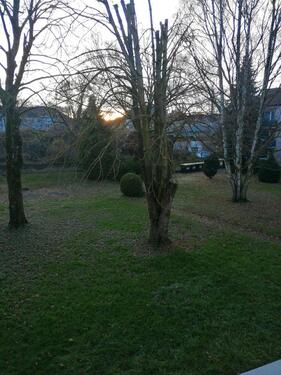 Foto - 3 Zimmer Etagenwohnung zur Miete in Köln