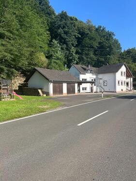 Foto - 10 Zimmer Einfamilienhaus zum Kaufen in Neumagen-Dhron