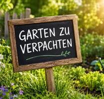 Garten zu vermieten Parzelle Kleingarten Freizeitgrundstück - Andernach