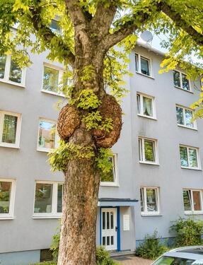 Foto - Kapitalanlage oder Eigennutzung- 3ZKB direkt an der Uni Kassel