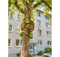 Kapitalanlage oder Eigennutzung- 3ZKB direkt an der Uni Kassel