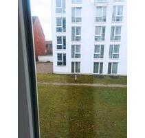 Nur Tauchen - 669,00 EUR Kaltmiete, ca.  23,00 m² in Kiel (PLZ: 24149) Neumühlen-Dietrichsdorf